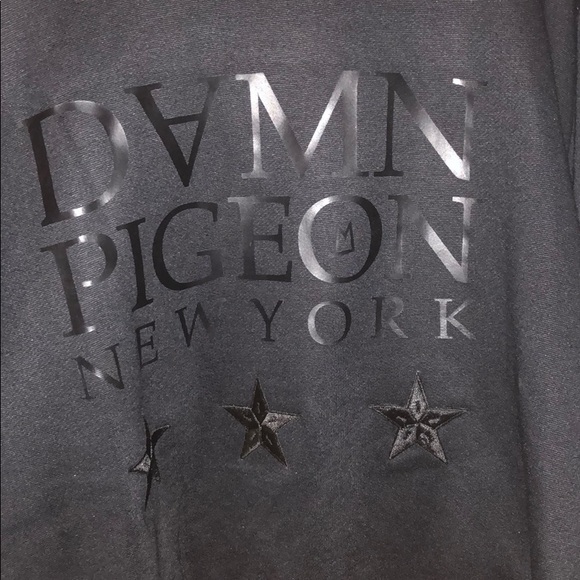 Damn Pigeon New York - Picture 4 of 4